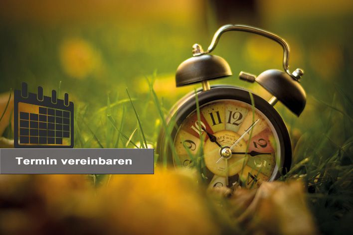 Fitnessstudio Dresden - Termin vereinbaren