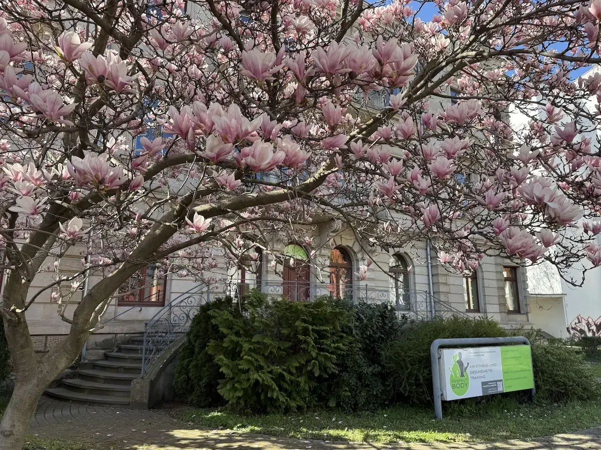 Perfect Body Dresden - Studio Neustadt