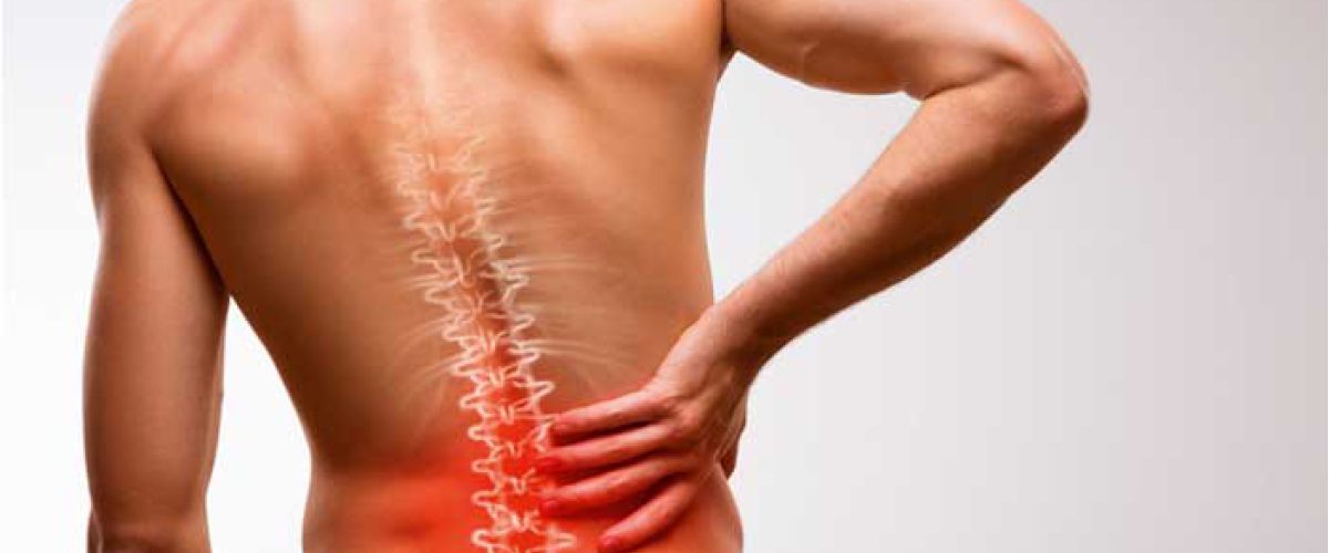 Fitnessstudio Dresden Perfect Body - Rückenstudie 2018