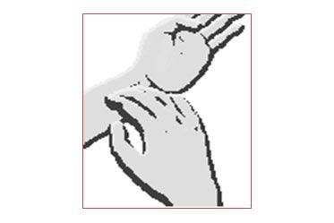 Fitnessstudio Perfect Body Dresden - Ruhepuls Messung an der Hand