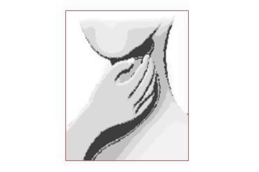 Fitnessstudio Perfect Body Dresden - Ruhepuls - Messung am Hals